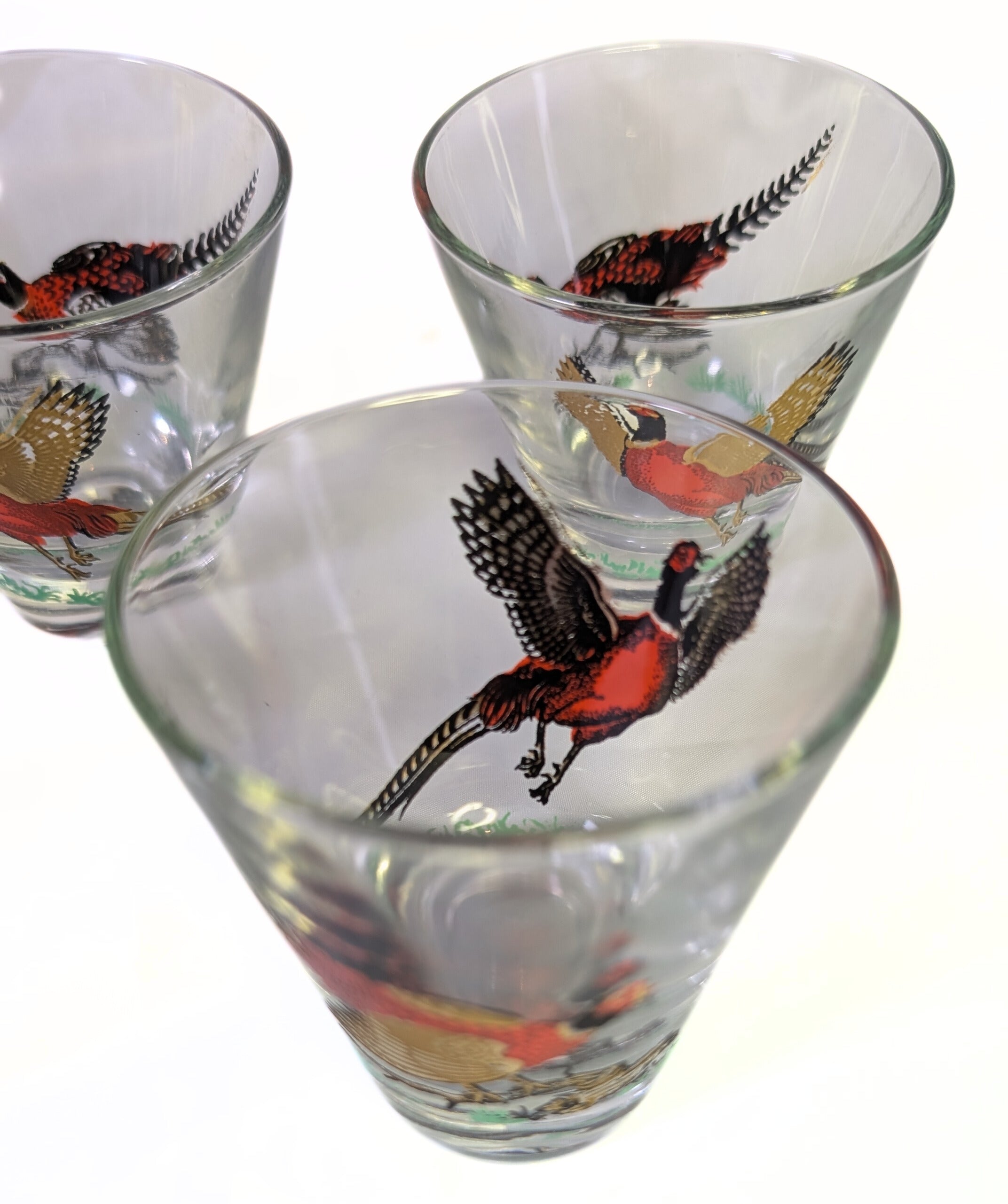 6 HAZEL ATLAS Golden Pheasant Low Ball Drinking Glasses