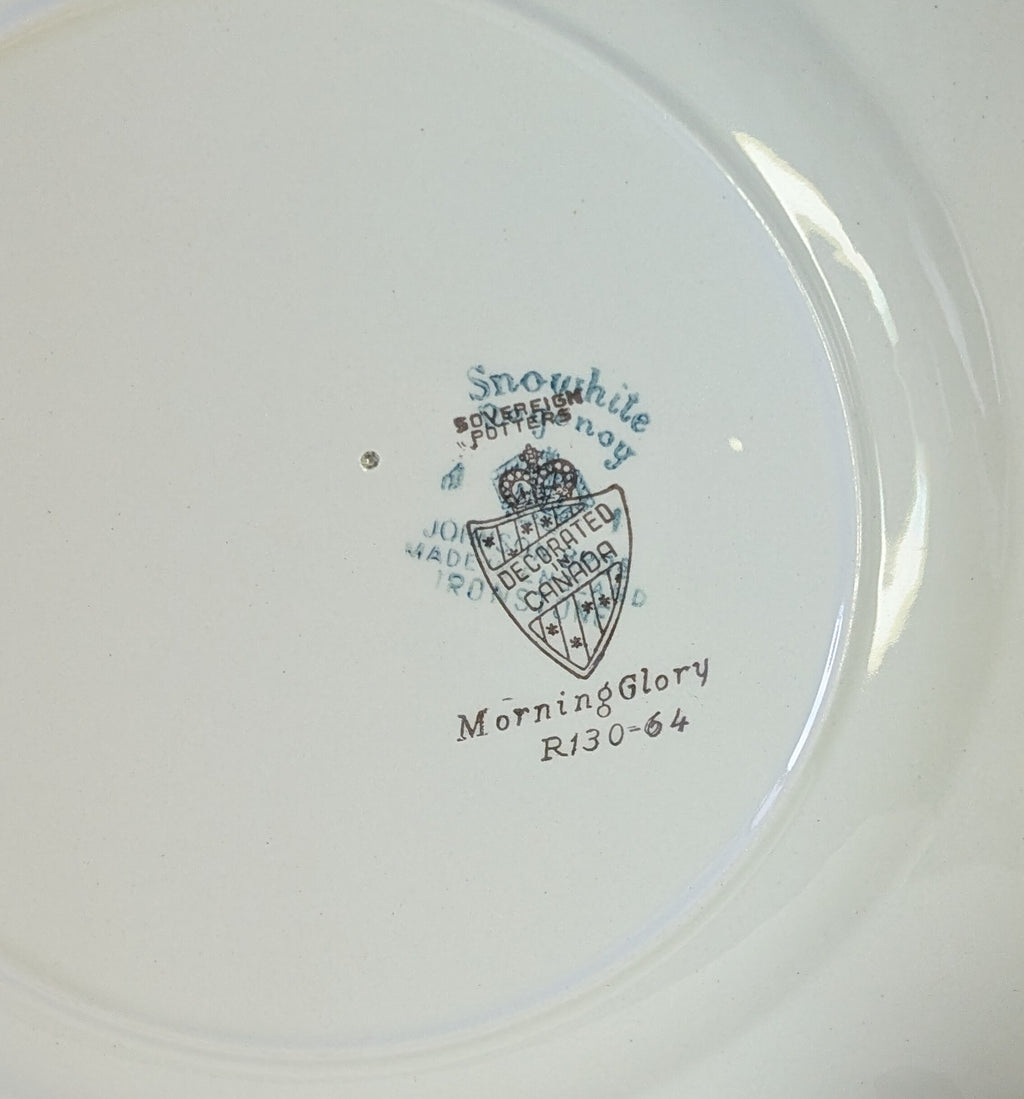 Snowwhite Regency Morning Glory & Platinum Rim Dinner Plate by Johnson Brothers