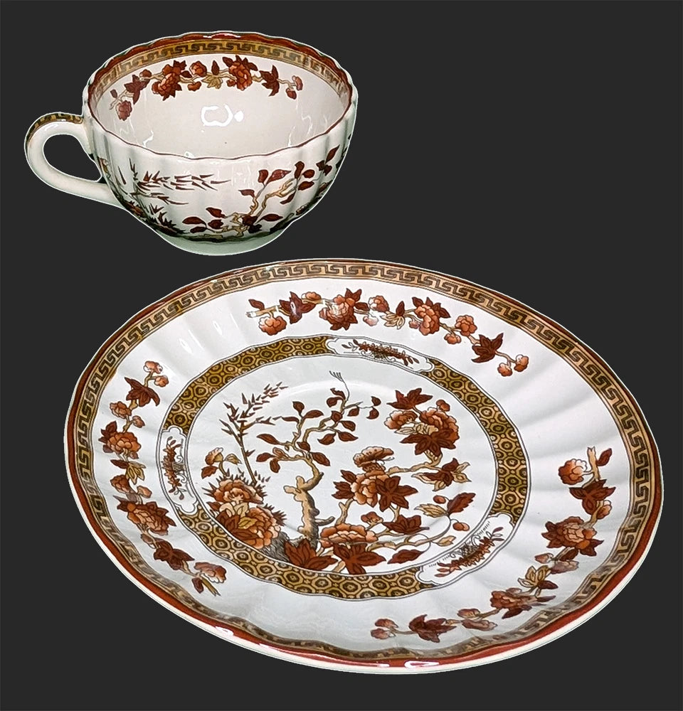 SPODE Bone China - Indian Tree Pattern, Rust - Teacup & Saucer - New Mark